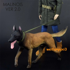 Mr.Z 1:6 MALINOIS cane 2.0