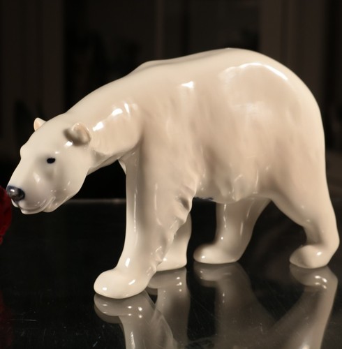 Orso polare che corre - corre,