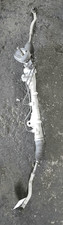 Scatola sterzo  DACIA SANDERO
