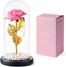 Rosa Eterna ROSA LED –