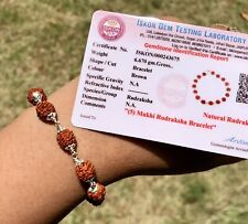 Bracciale Rudraksh naturale