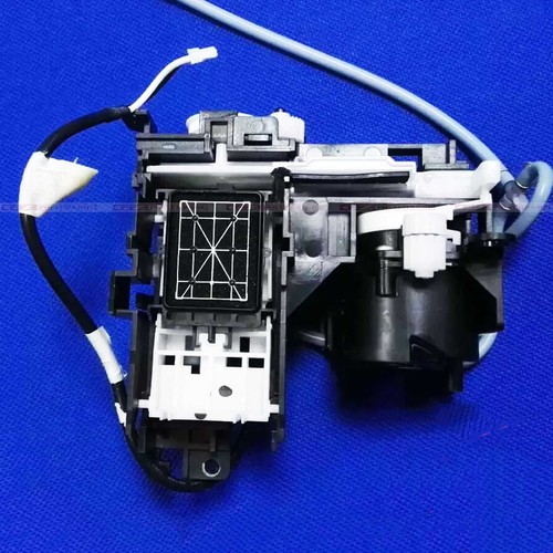 Epson b300 b310dn - epson, b508