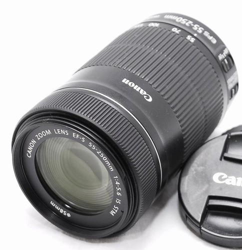 Canon 250 f4 - 55-250, is