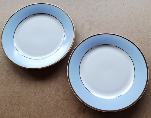 Piastre laterali doulton blu - piastre,
