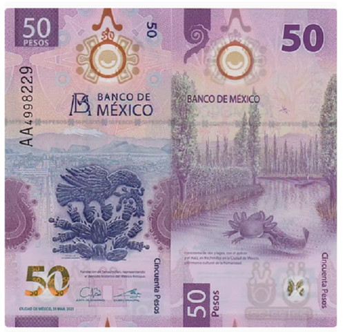 Banconota messico pesos - messico,