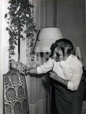 Foto vintage Animali, Cincillà in casa, Stampa 24 x 18 cm