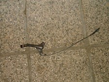 MOTO TRIAL BETA TR 32 TR32 33 FRENO LEVA PEDALINA ASTA