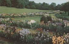 Carte a colori Presby Memorial Iris Gardens, Montclair, NJ Essex County Koppel