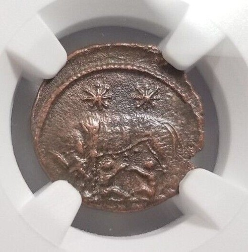 Gemelli lupo costantino ngc - lupo,