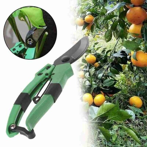 Forbici potatura verde - verde, leggera