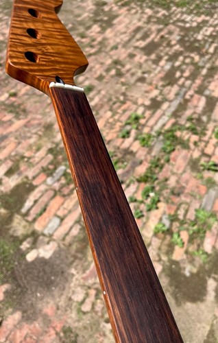 Aaaa manico basso chitarra - basso,