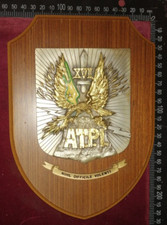 CREST GUARDIA DI FINANZA XVII
