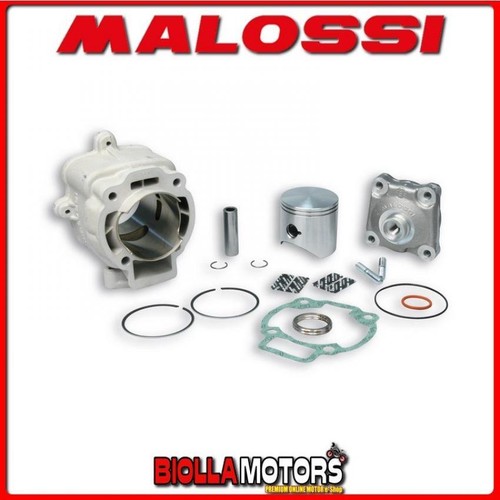 3111140 gruppo termico malossi - 3111140,