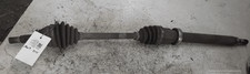 GDB42550X Semialbero ant