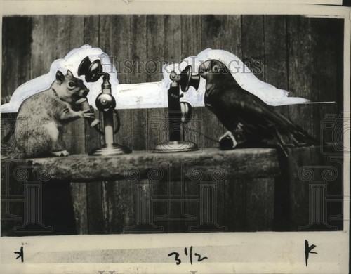 1929 foto stampa peter - 1929,