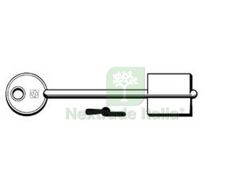 5pz chiavi doppia - chiavi,