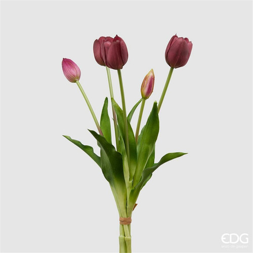 Tulipano gomm olis mazzo - olis, 5pz