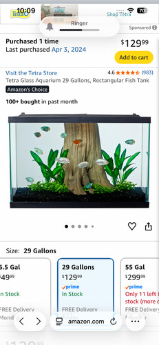 Gal fish tank many - fish,
