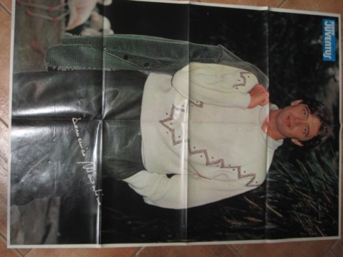 Poster domenico marocchino - domenico,