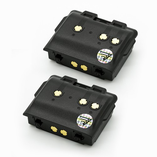 Batteria agli ioni litio - 2x,