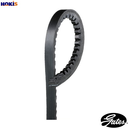 Cintura avx10x950hd per - avx10x950hd,