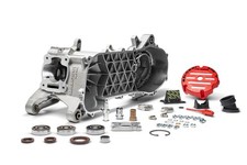 Blocco carter motore malossi - blocco,