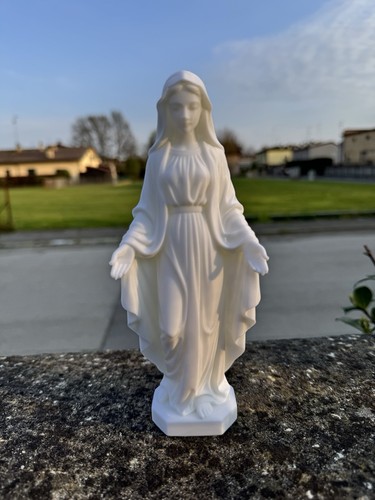 Bellissima statua della