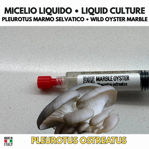 Coltura liquida marble oyster - coltura,