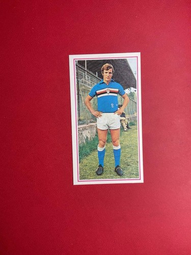 Figurina calciatori panini - figurina,