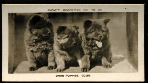 Tobacco card pattreiouex - card,,