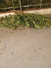 paraurti anteriore slk