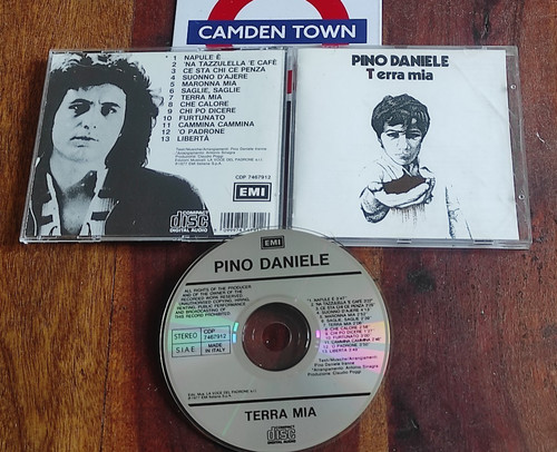 Pino daniele terra mia - pino,