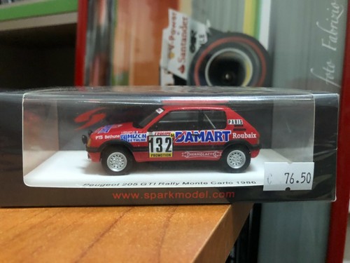 Peugeot 205 gti rally - 1/43,