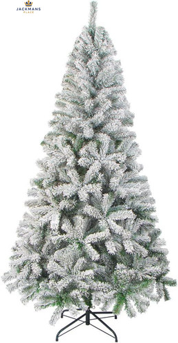 Lokipa albero natale - albero, di