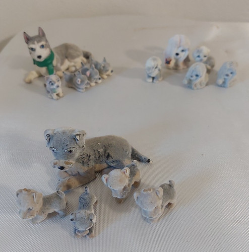 Cuccioli cerca amici - cerca, 3