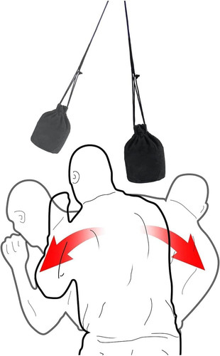 Sacco boxe palla da - palla,