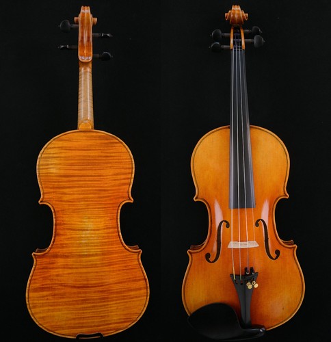 Orgoglioso violino stradivari - orgoglioso,