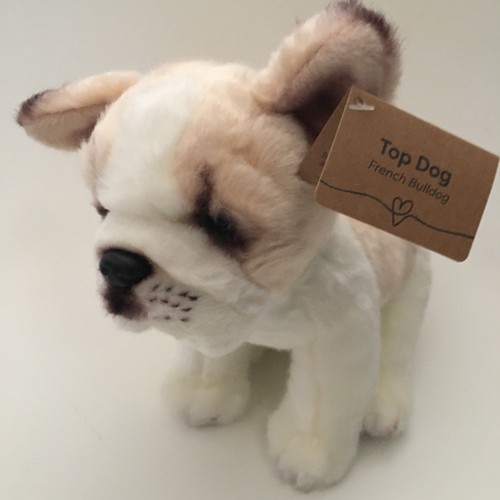 Nuovo bulldog francese - nuovo,