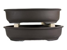 Vasi per bonsai Giapponesi