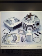 1660096/10GRUPPO TERMICO