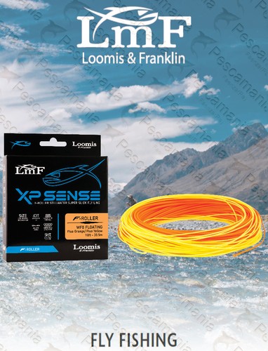 Coda topo lmf loomis - coda,