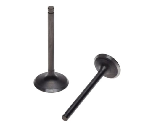 Kit valvole scarico - , +