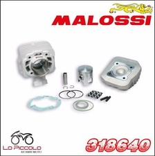 318640 MALOSSI GRUPPO TERMICO