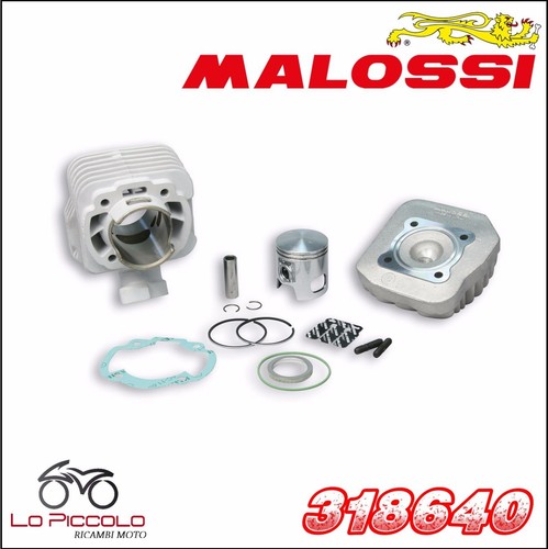 318640 malossi gruppo - gruppo, termico