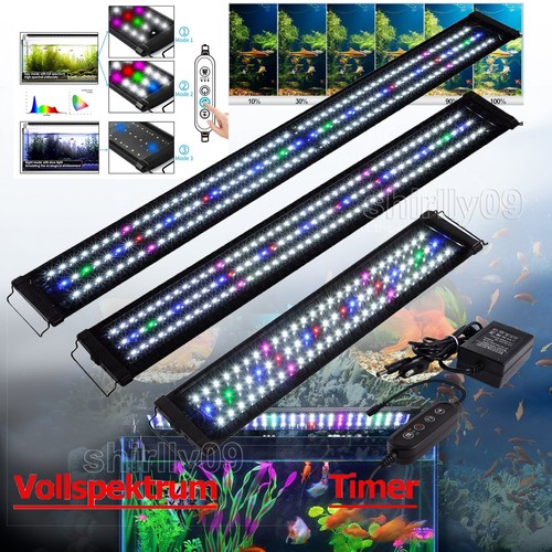 Illuminazione acquario led rgb - illuminazione,