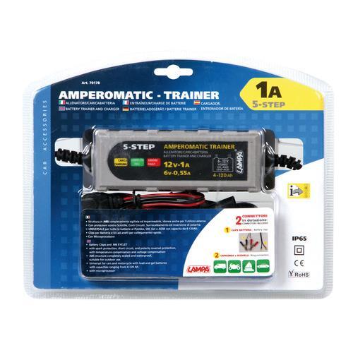 Carica batteria mantenitore - carica,