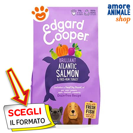 Edgard cooper dog puppy - dog,