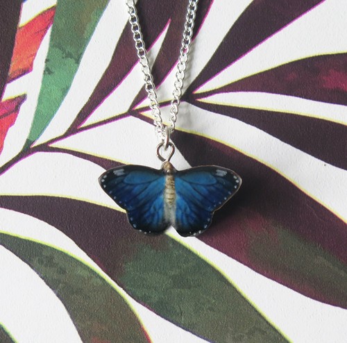 Farfalla blu porcellana - farfalla,