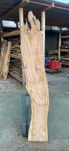 Tavola legno ulivo - tavola, in