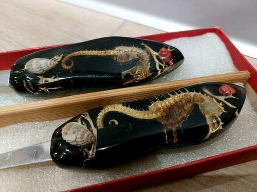 Set coltelli forchette da - coltelli,